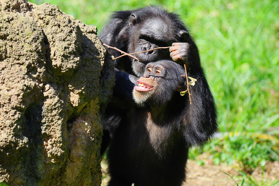 Uganda 2026 - Image 28